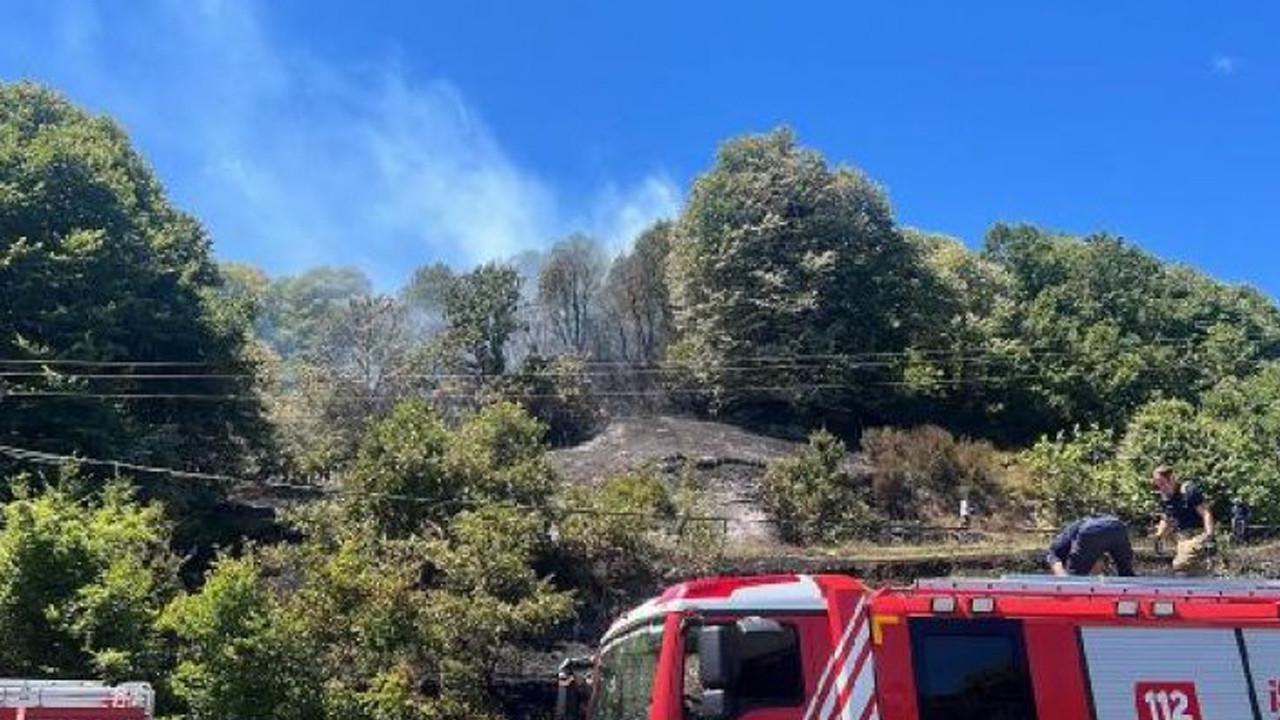 İstanbul Beykoz'da ormanlık alanda yangın