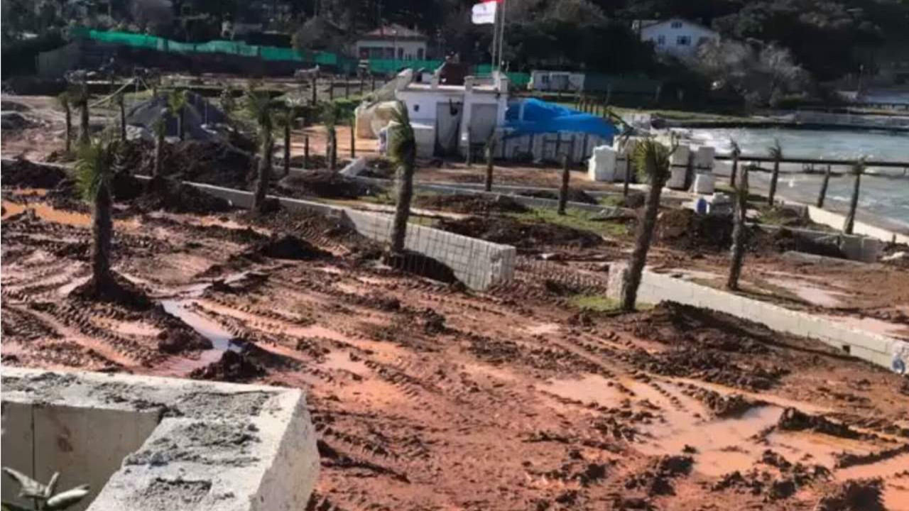 Heybeliada’da doğa katliamı iddiası!