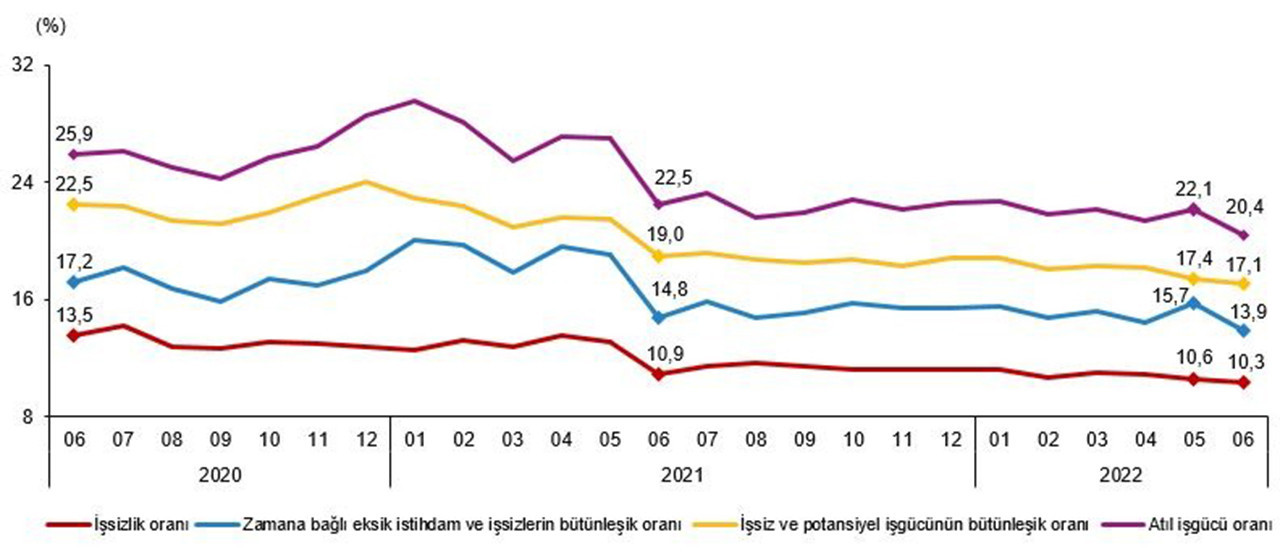 TÜİK İşgücü İstatistikleri, Haziran 2022