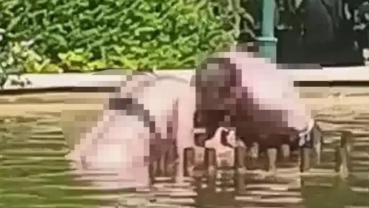 Şehrin göbeğinde dehşet: Yarı çıplak haldeki kadını süs havuzunda boğmaya çalıştı