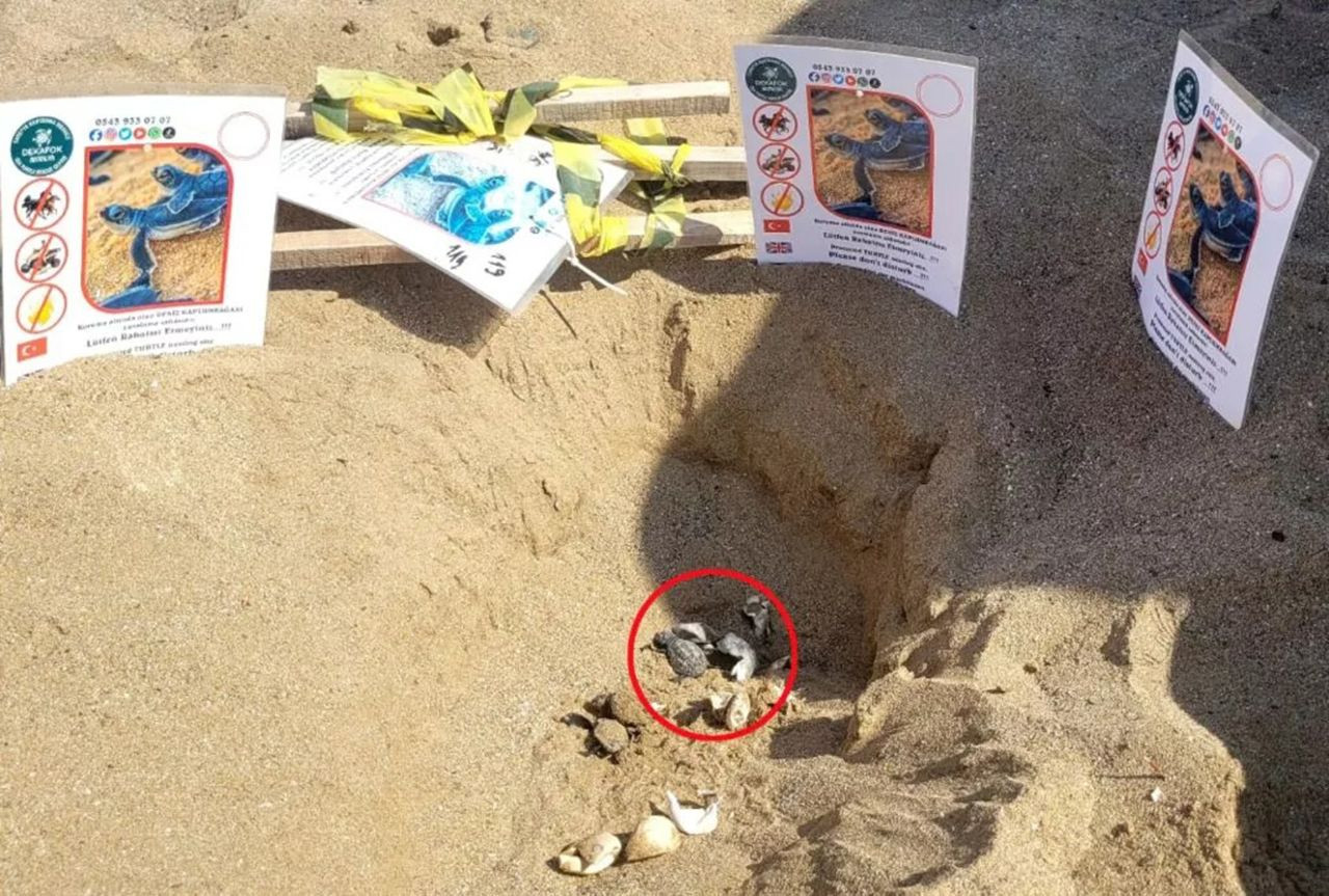 Türkiye'nin tatil cennetinde hüzne boğan ihbar - Resim: 2