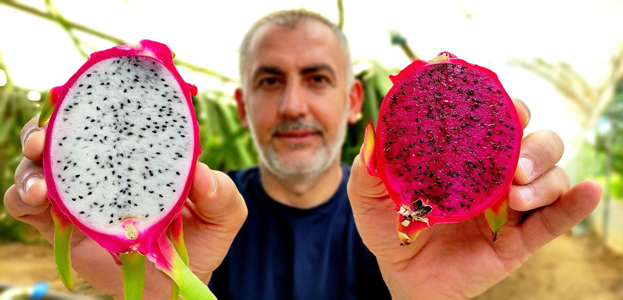 Kime söylediyse ''batarsın'' demişti, şimdi adeta para basıyor - Resim: 3