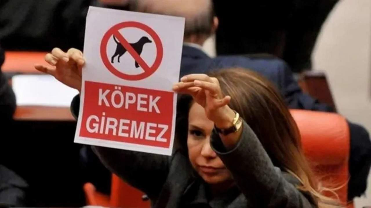 Meclis'te ''köpek giremez'' afişi açan AK Partili isim İçişleri Bakanlığı'na atandı