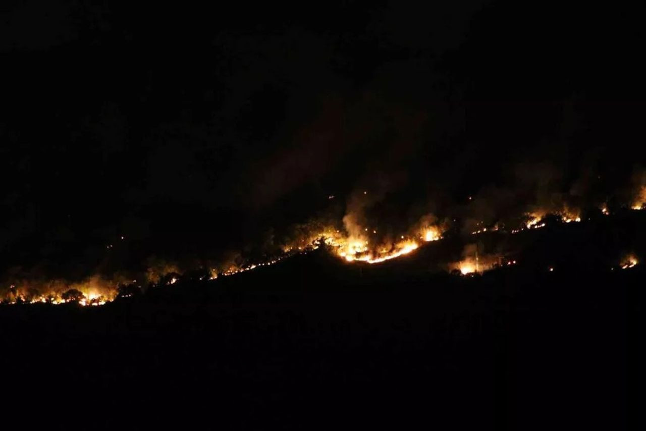 Bulgaristan'daki yangın Edirne'ye dayandı - Resim: 1