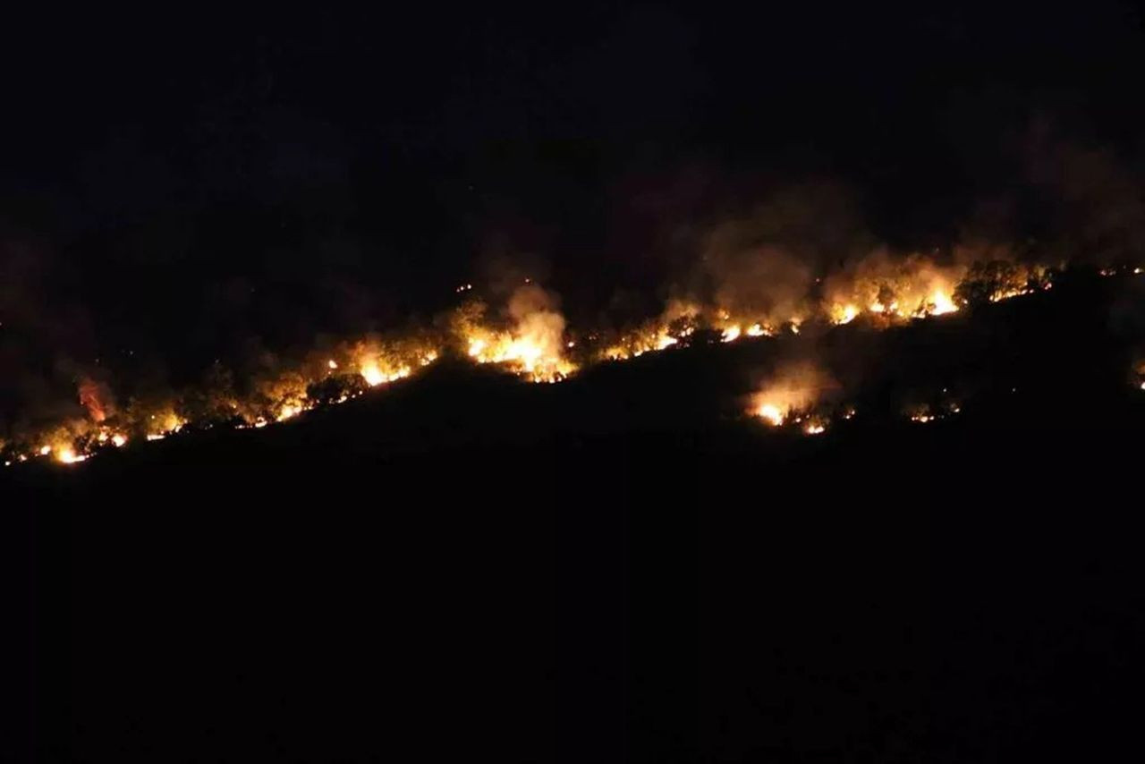 Bulgaristan'daki yangın Edirne'ye dayandı - Resim: 2