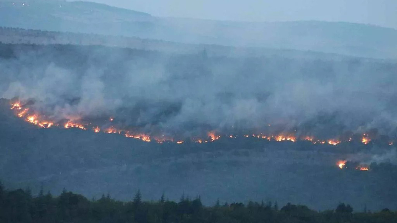 Bulgaristan'daki yangın Edirne'ye dayandı