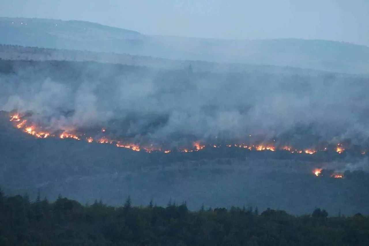 Bulgaristan'daki yangın Edirne'ye dayandı - Resim: 3
