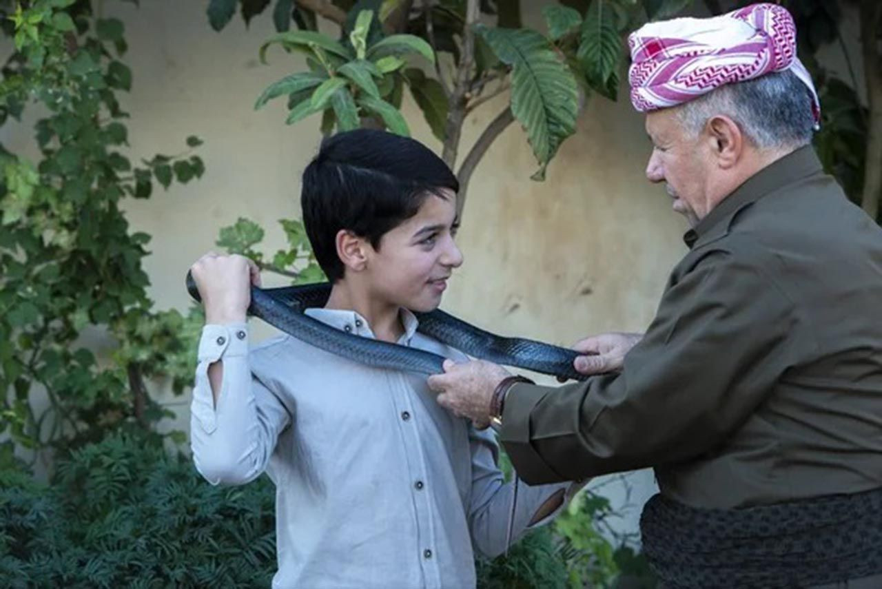 60 yılanla beraber yaşıyor: Bulduğunu eve getirip etle besliyor - Resim: 3