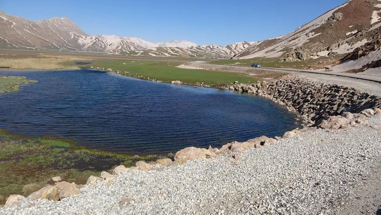 Hakkari'de yılanların çiftleşme görüntüleri kameraya yansıdı! Yüzlerce yılan birleşme dansı yaptı - Resim: 2