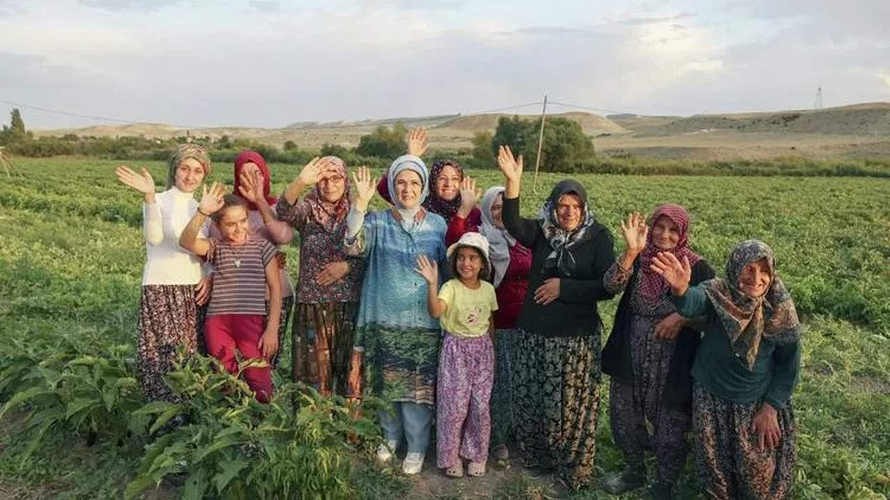 Emine Erdoğan tarladan domates topladı