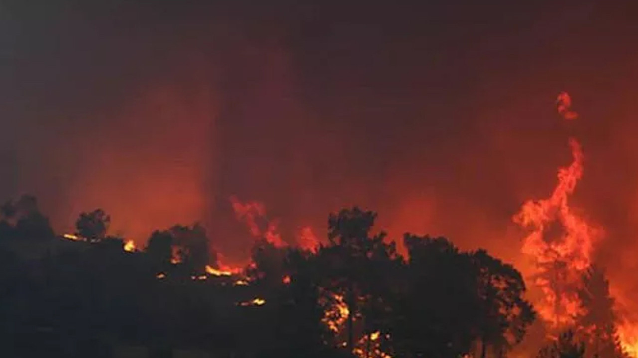 İsrail’de orman yangını: Bölge tahliye edildi
