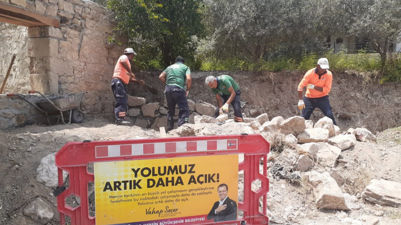 Mersin Büyükşehir Belediyesi 820 yıllık anıt ağacı koruma altına aldı