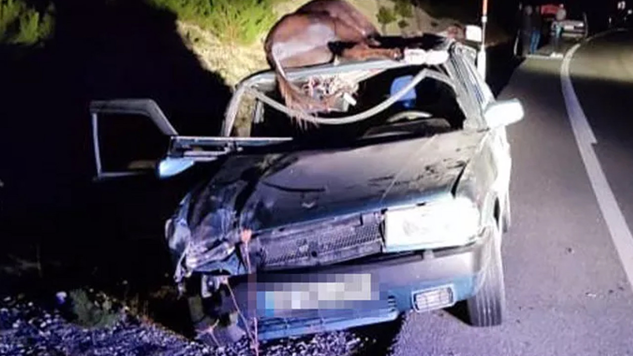 Denizli'de ilginç kaza can aldı: Aracın tavanına eşek düştü