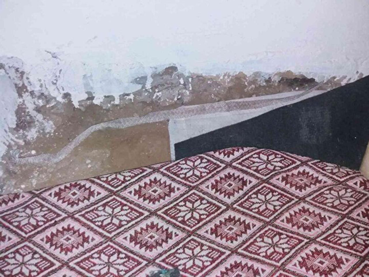 O köy diken üstünde! Yılanlar evlere yuva yaparak halkı tedirgin ediyor - Resim: 4