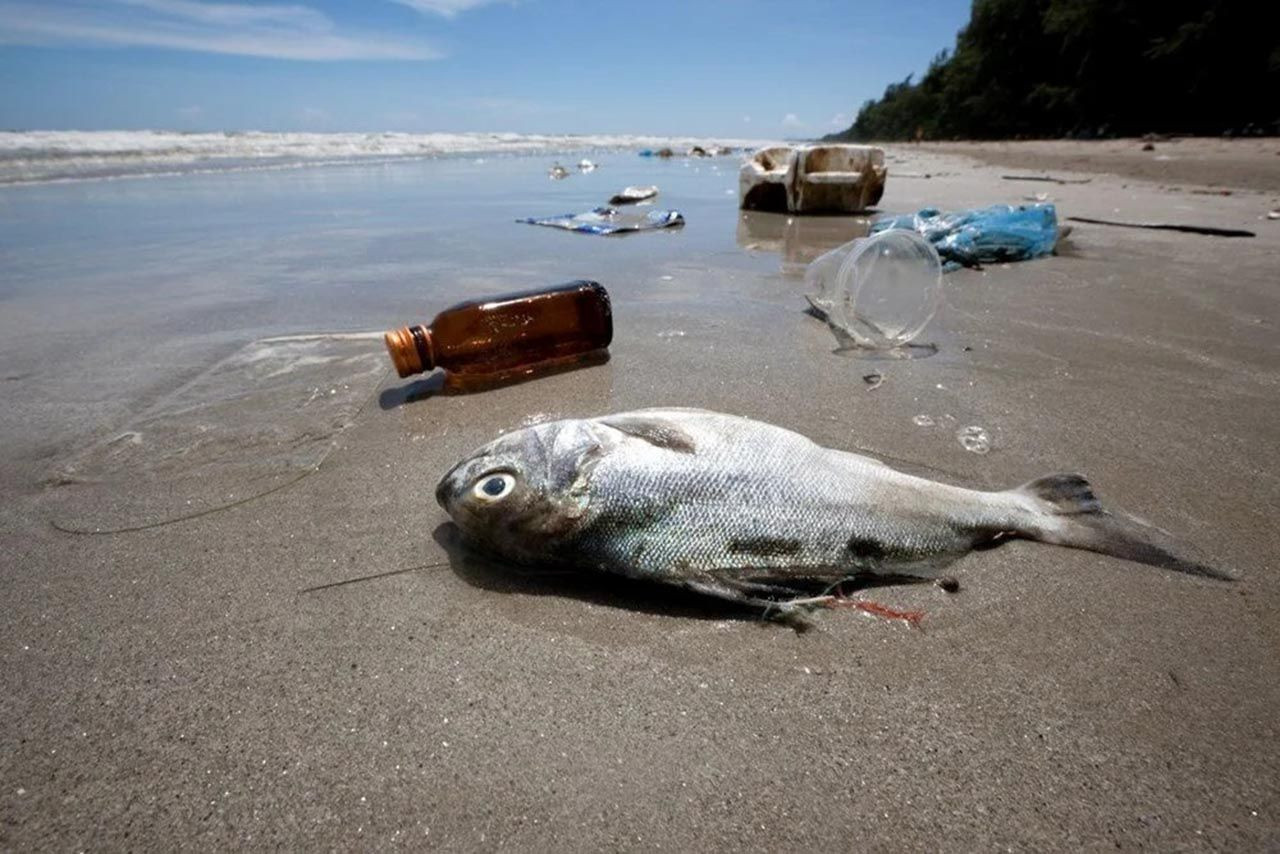 Yüzen çöp denizinde hangi ülkelerin payı var? İşte denizi en çok kirleten ülkeler - Resim: 3