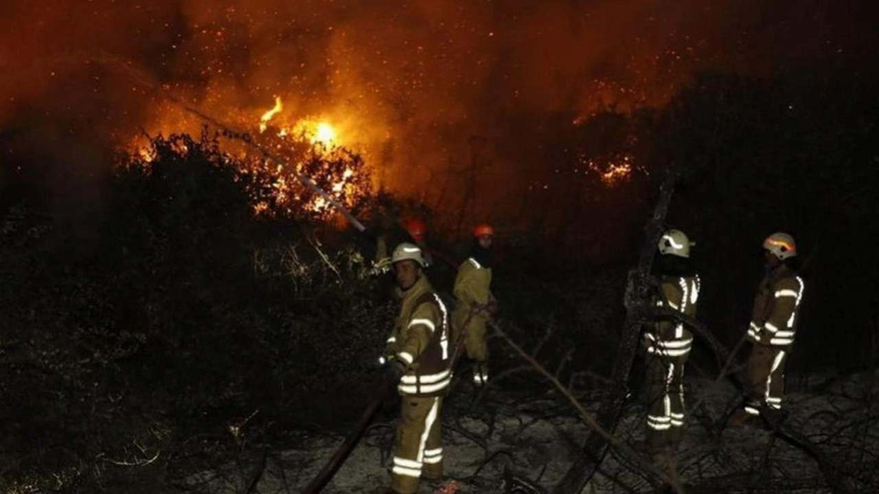 İstanbul'da korkutan orman yangını
