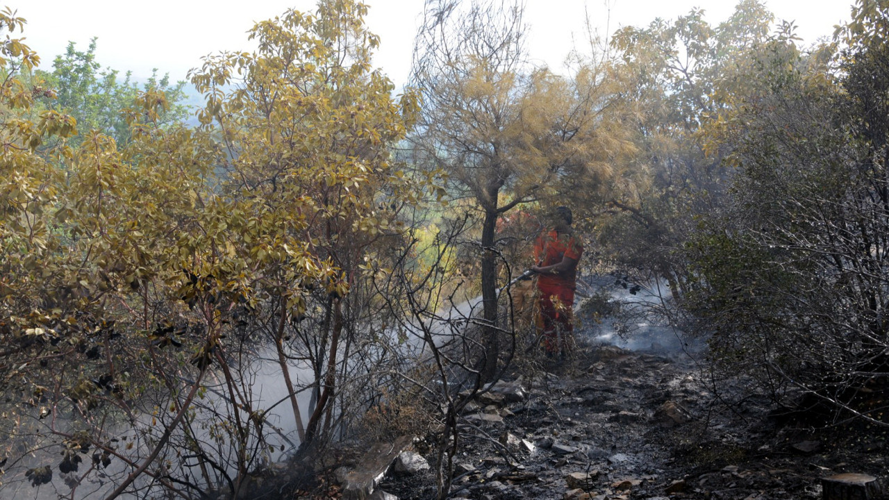 Antalya'da 5 hektar orman küle döndü
