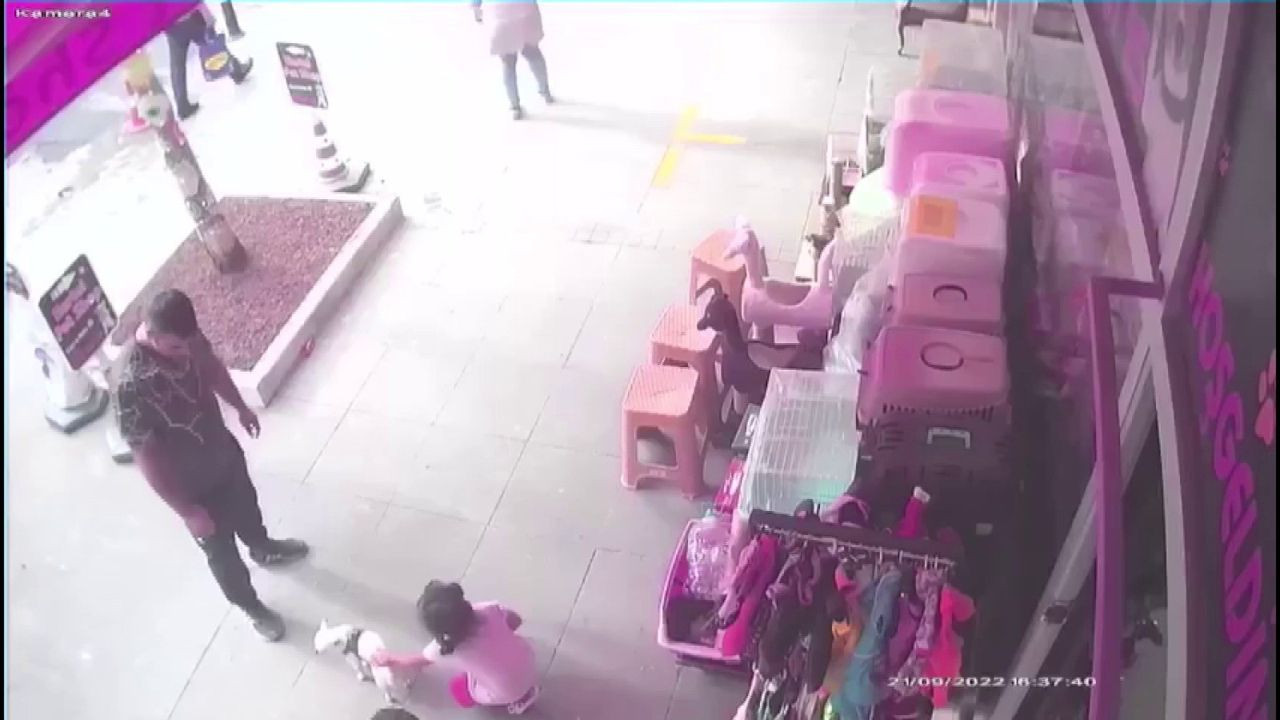 İstanbul'da akıl almaz hırsızlık kamerada! Önce sevdiler, sonra çaldılar - Resim: 3