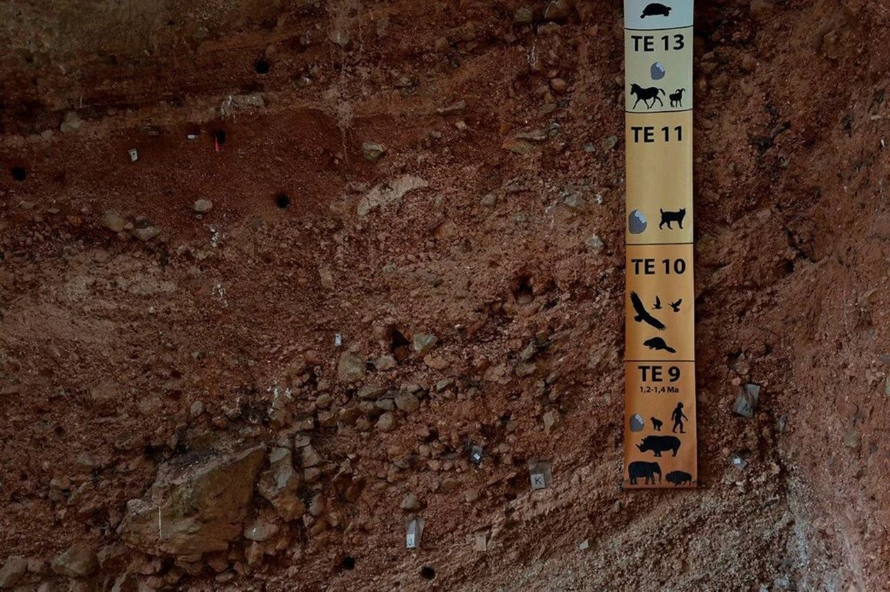O tam 1,4 milyon yaşında ve Avrupa'nın en eski insanı! - Resim: 4