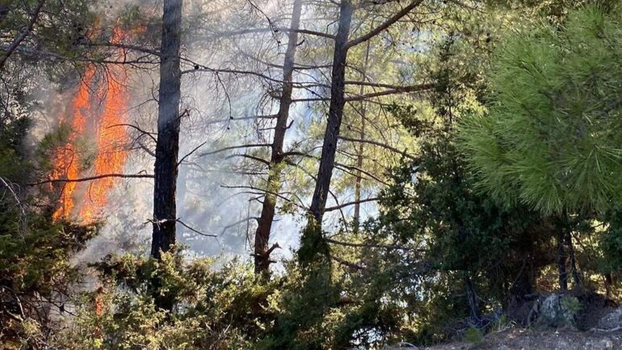 Adana'da 2 farklı noktada orman yangını