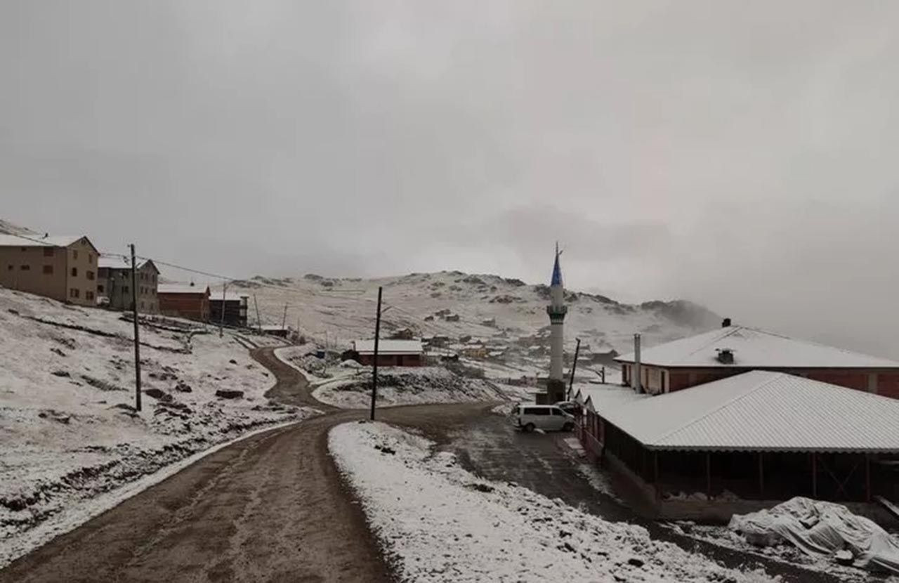 Trabzon, Rize ve Artvin'de kar yağışı! Bu manzarayla uyandılar - Resim: 2