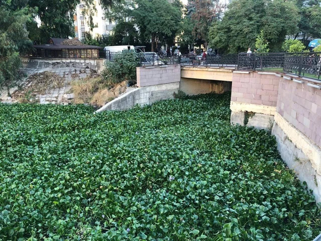 Asi nehri adeta istilaya uğradı - Resim: 4