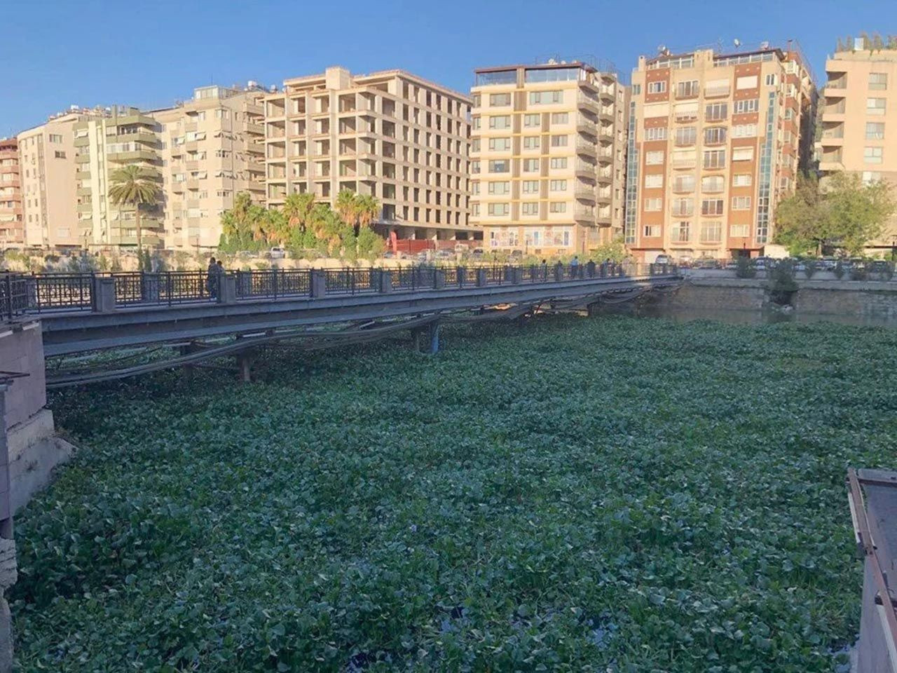 Asi nehri adeta istilaya uğradı - Resim: 1