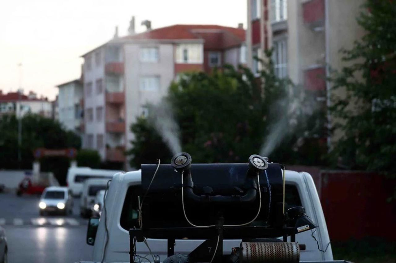 İstanbul'da hastanelik eden ''sivrisinek'' alarmı - Resim: 3