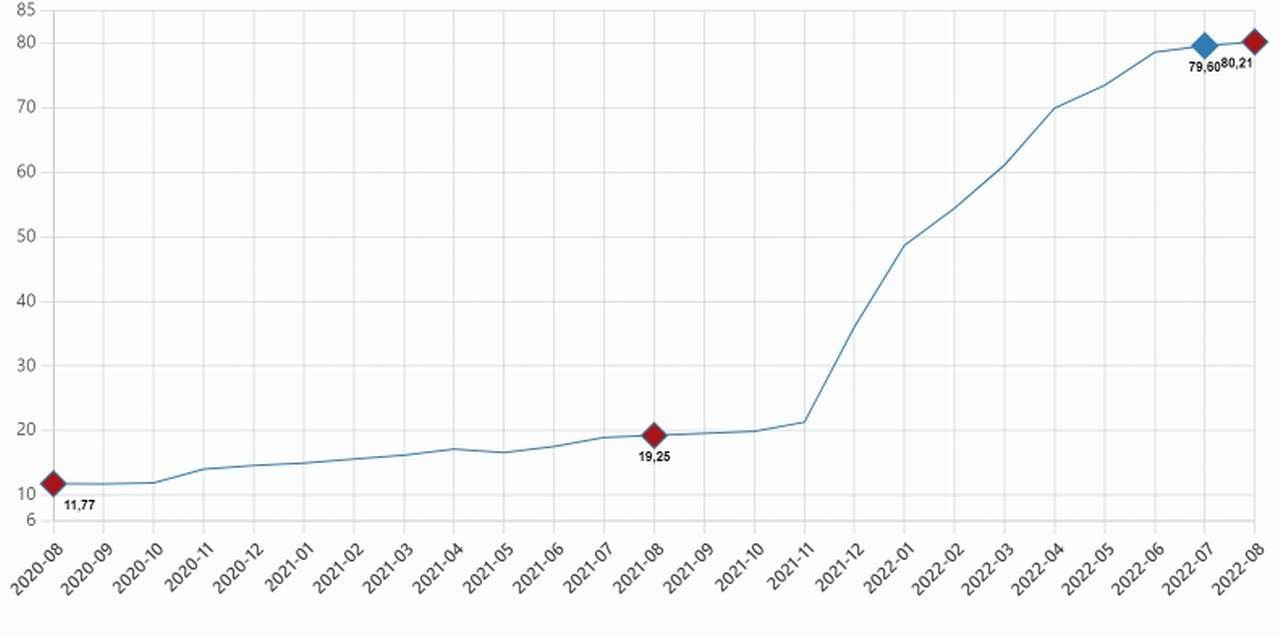 Tüketici Fiyat Endeksi, Ağustos 2022