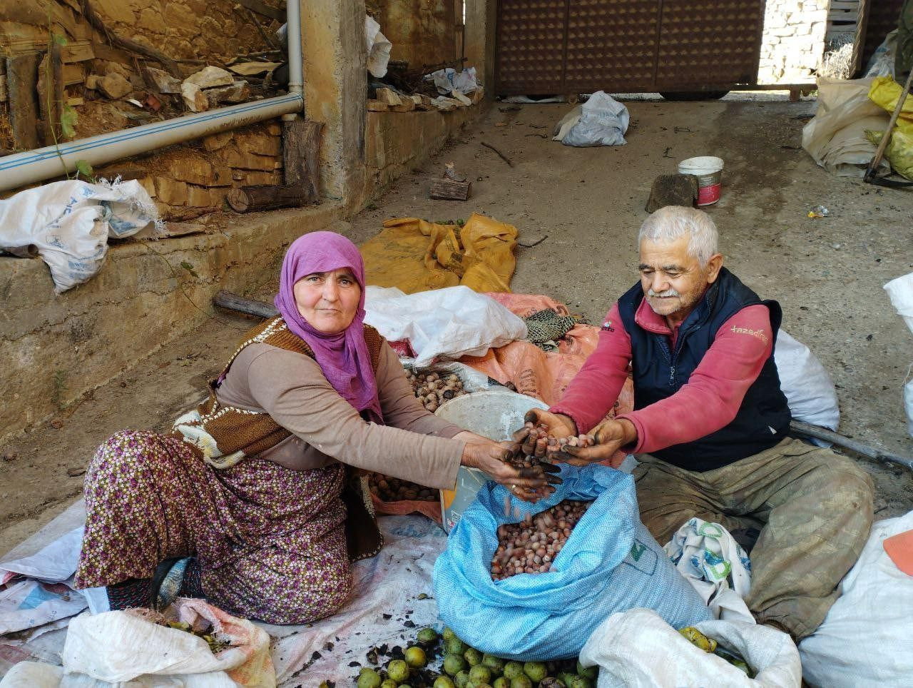 Karadeniz değil Marmara'da: Bu köyde yılda 60 ton fındık üretiliyor - Resim: 2