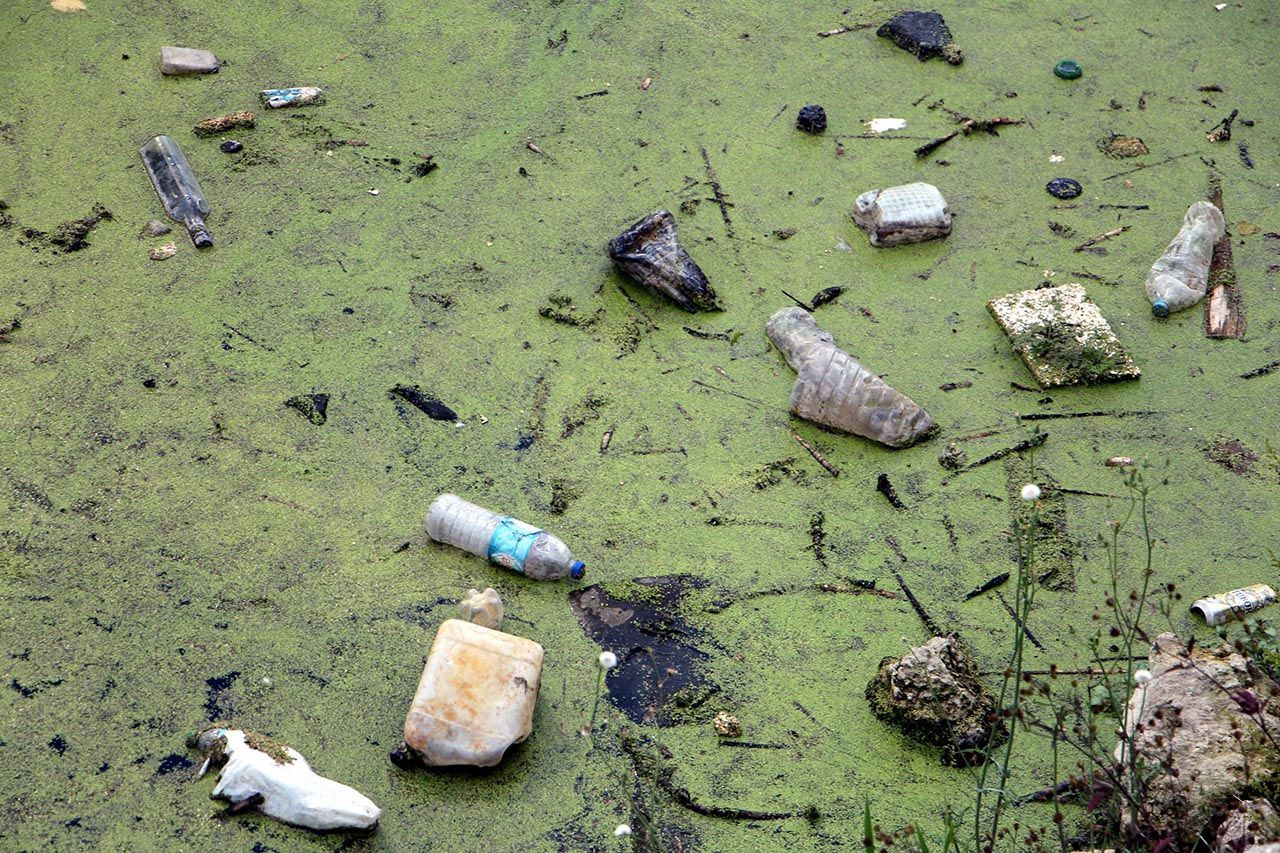 Tunca Nehri ve Bayır Deresi'nde korkutan manzara - Resim: 4