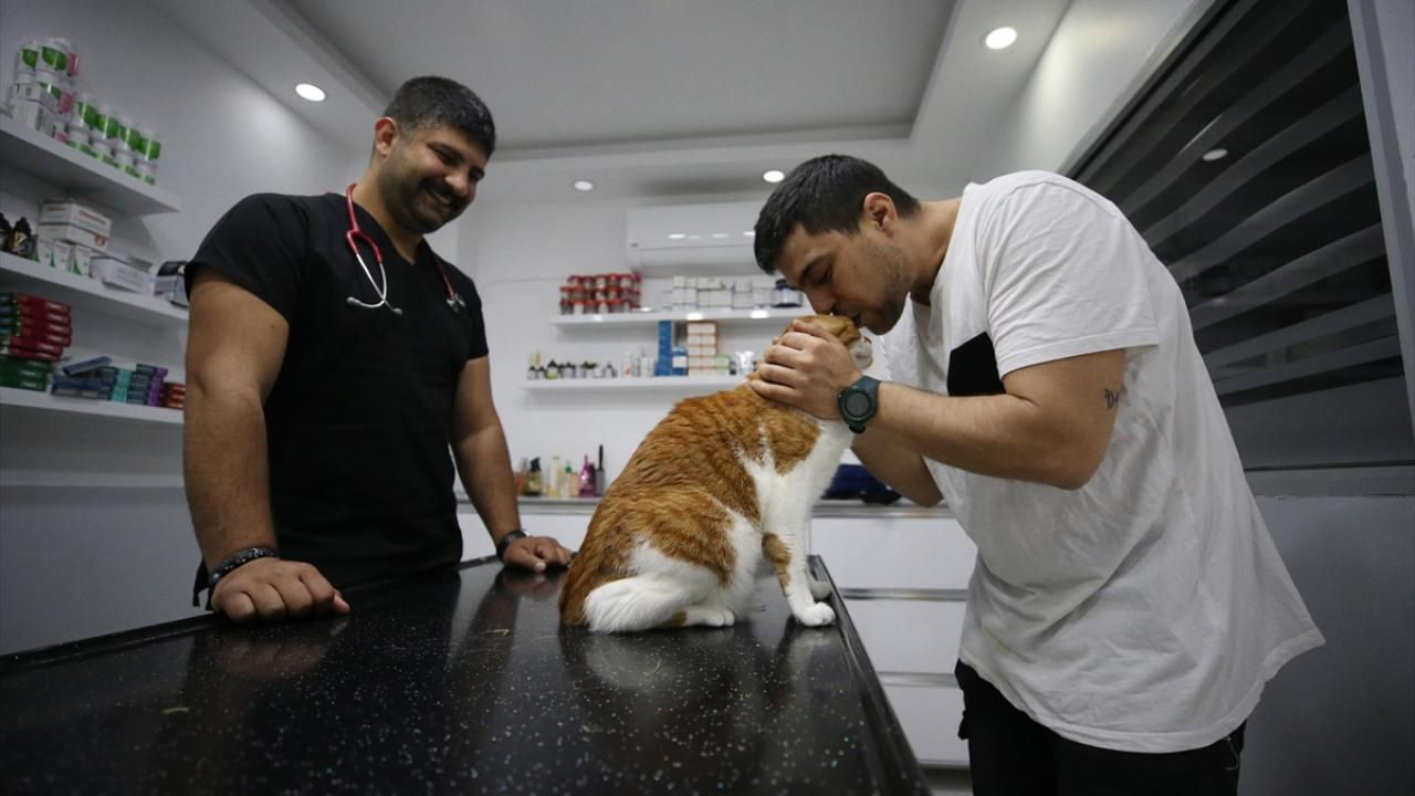Türkiye'nin ''yemek hırsızı'' en ünlü kedisine çok özel operasyon - Resim: 4