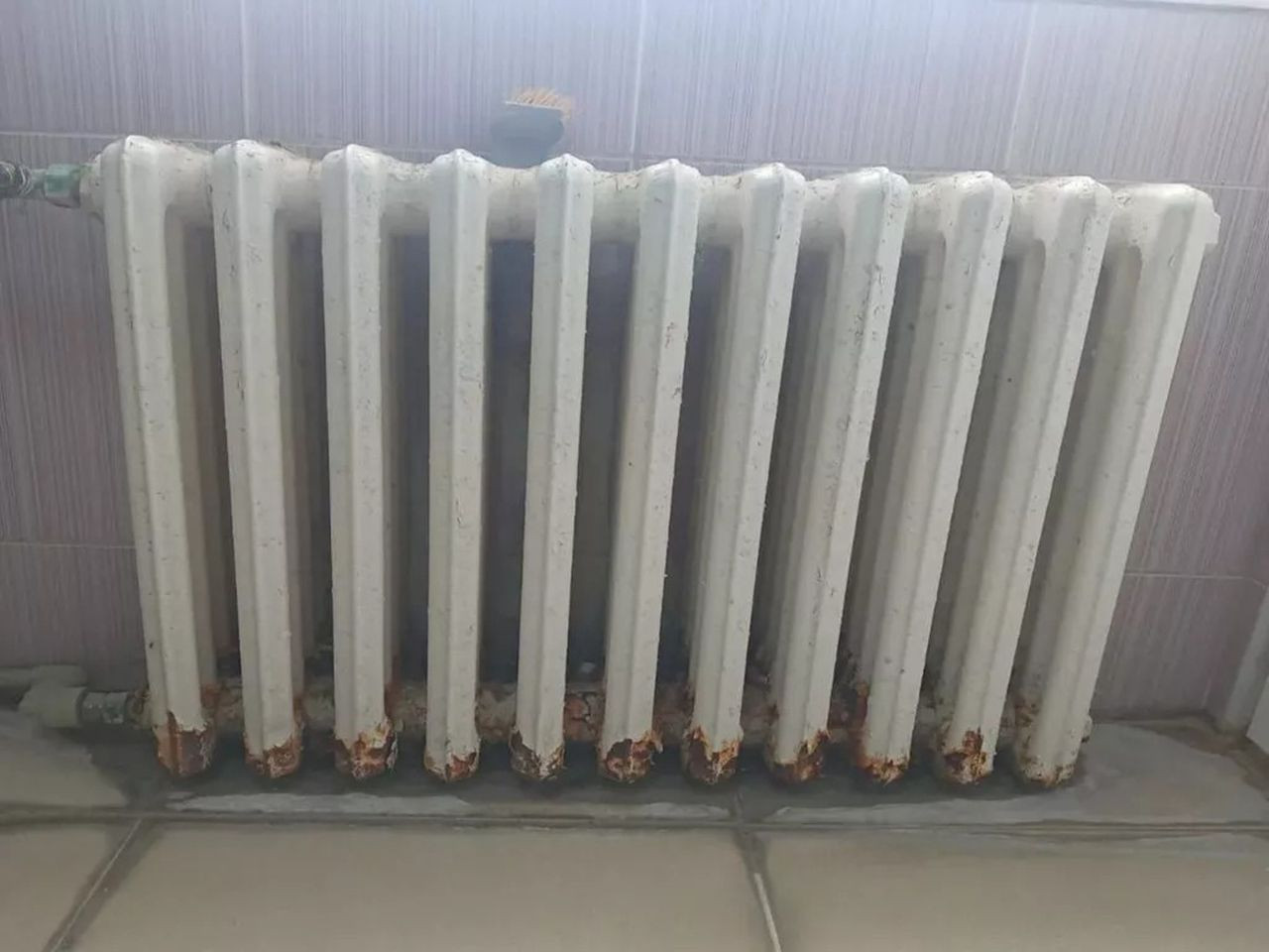 KYK kız öğrenci yurdunda mide bulandıran görüntü - Resim: 1