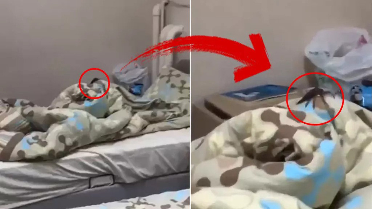KYK kız öğrenci yurdunda mide bulandıran görüntü