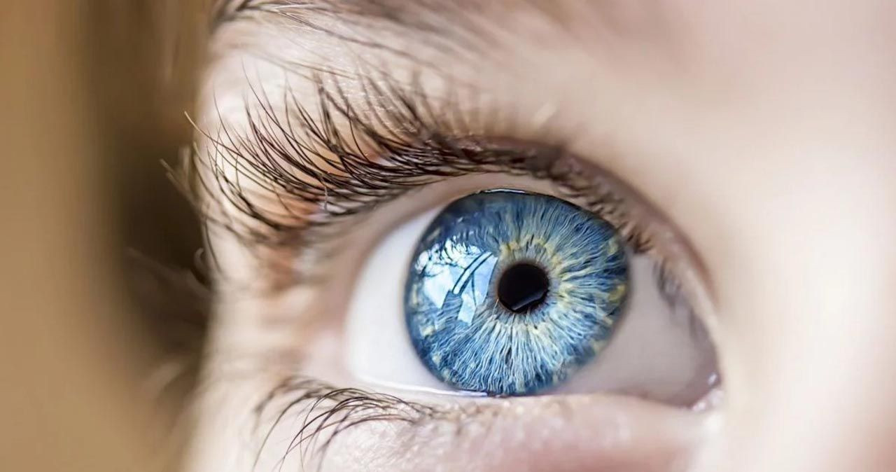 Şaşırtan araştırma: Mavi gözlü insanların aynı soydan geldiği ortaya çıktı - Resim: 3