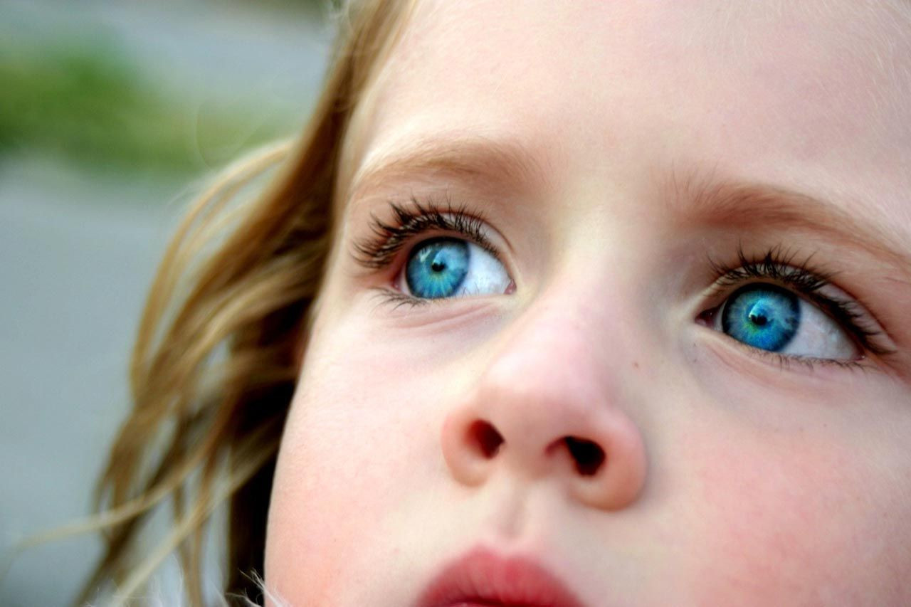Şaşırtan araştırma: Mavi gözlü insanların aynı soydan geldiği ortaya çıktı - Resim: 2