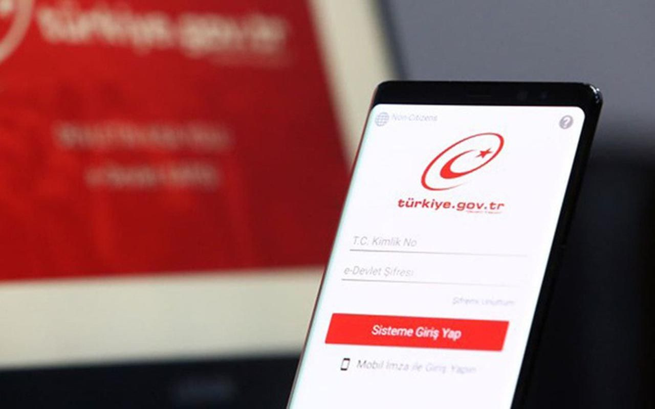 Birikmiş alacağınız olabilir: Hemen e-Devlet hesabınıza girerek görebilirsiniz - Resim: 1