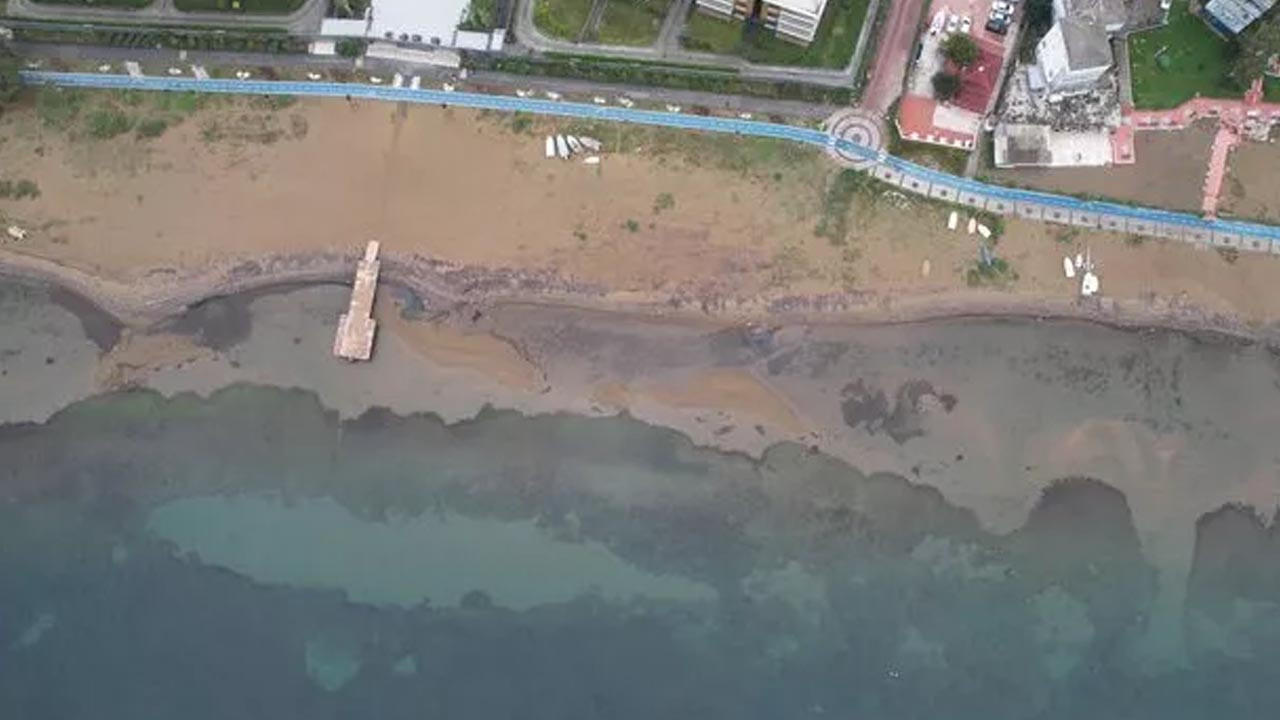 Marmara Denizi'nde panik yaratan görüntü: 10 metre çekildi