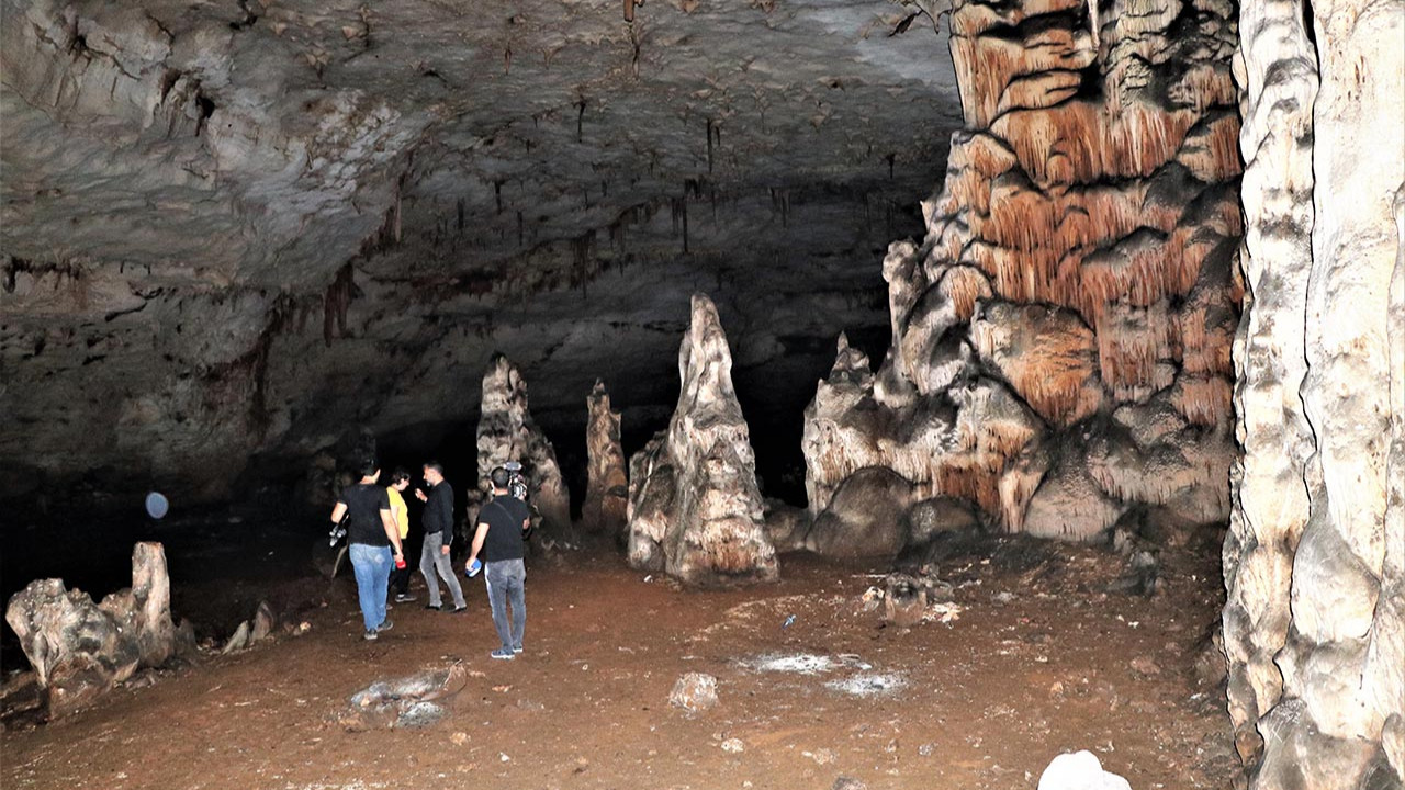Diyarbakır'da keşfedilen mağarada yeni bir canlı türü bulundu