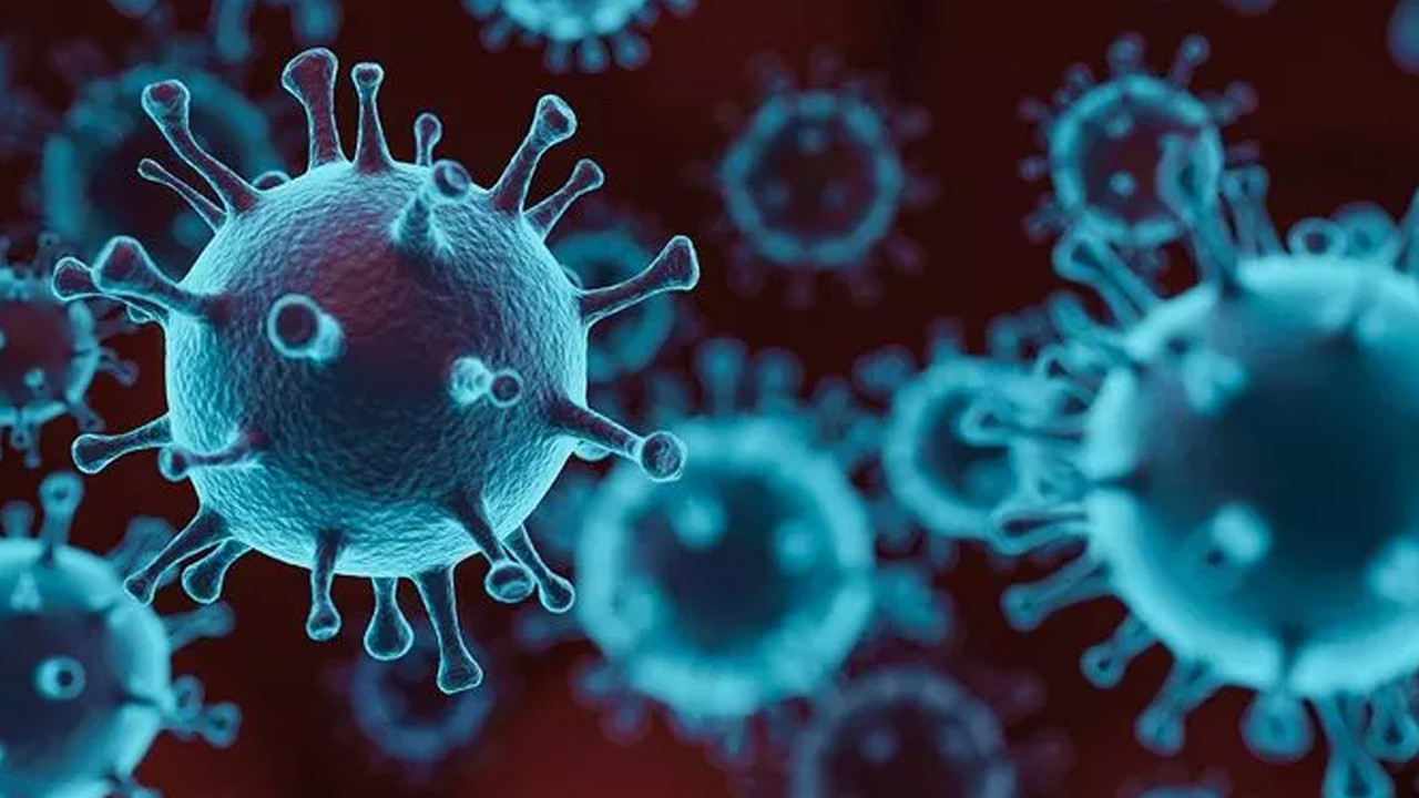Uzman isimden tedirgin eden uyarı: Virüsler işbirliği yaptı, yeni bir salgın kapıda