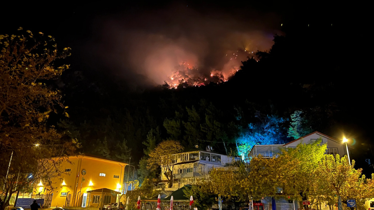Bartın'da orman yangını