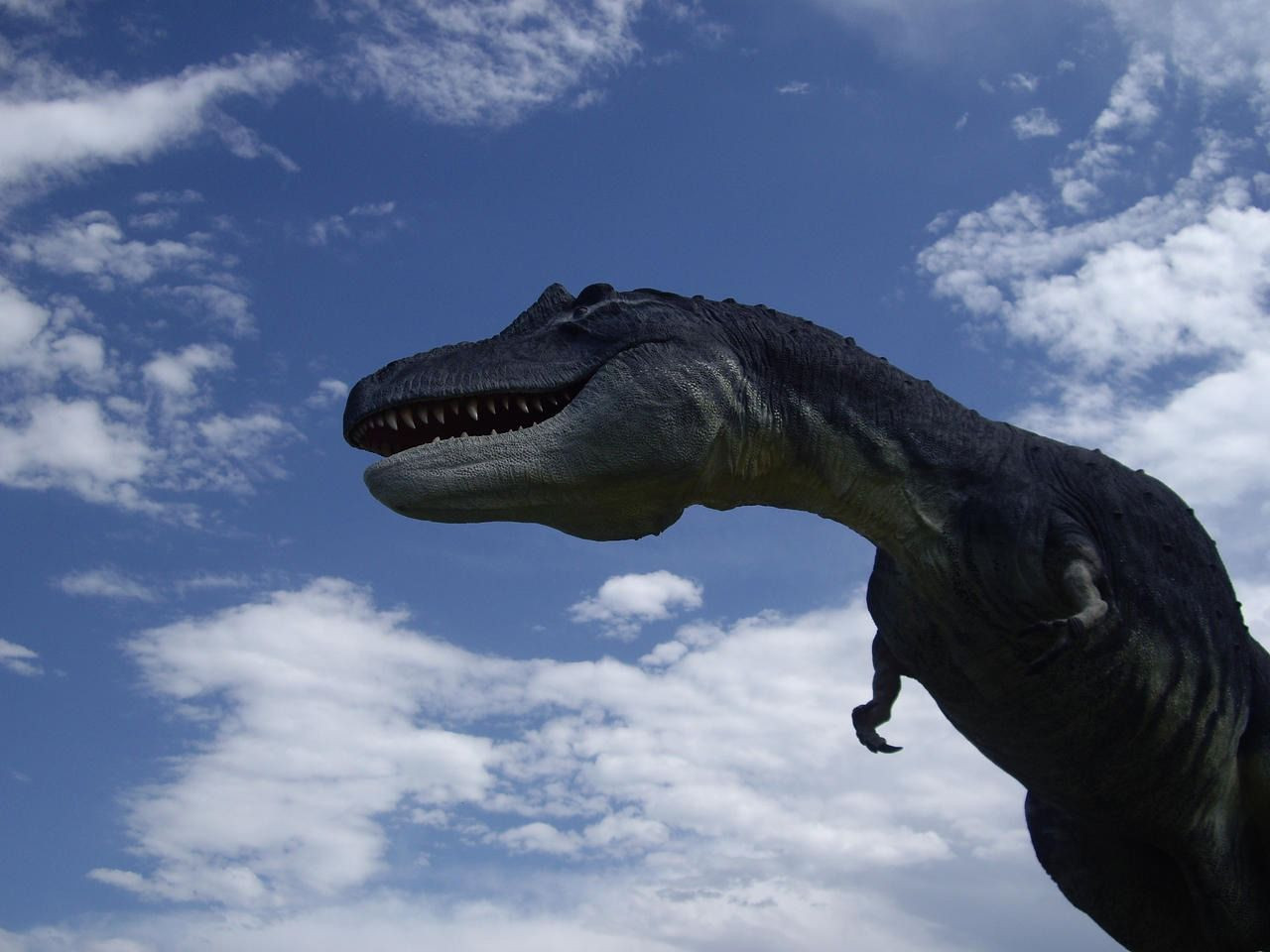 Yeni bir dinozor türü keşfedildi! T.Rex'in atası olabilir! - Resim: 4