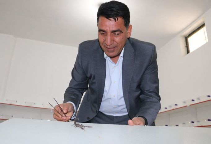 Kurduğu akrep çiftliği ile zehirden para kazanıyor: Litresi 10 milyon dolar... - Resim: 4