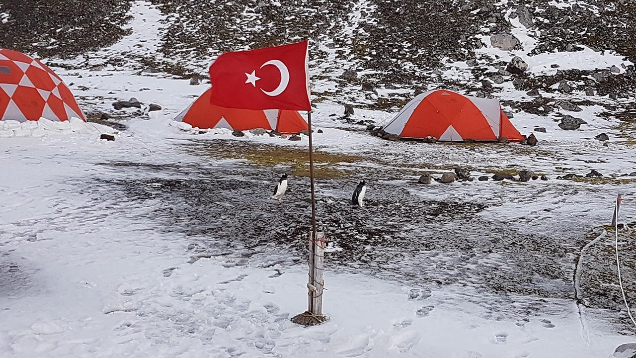 Antarktika'dan örnek toplayan Türk bilim insanları kötü haberi verdi - Resim: 4
