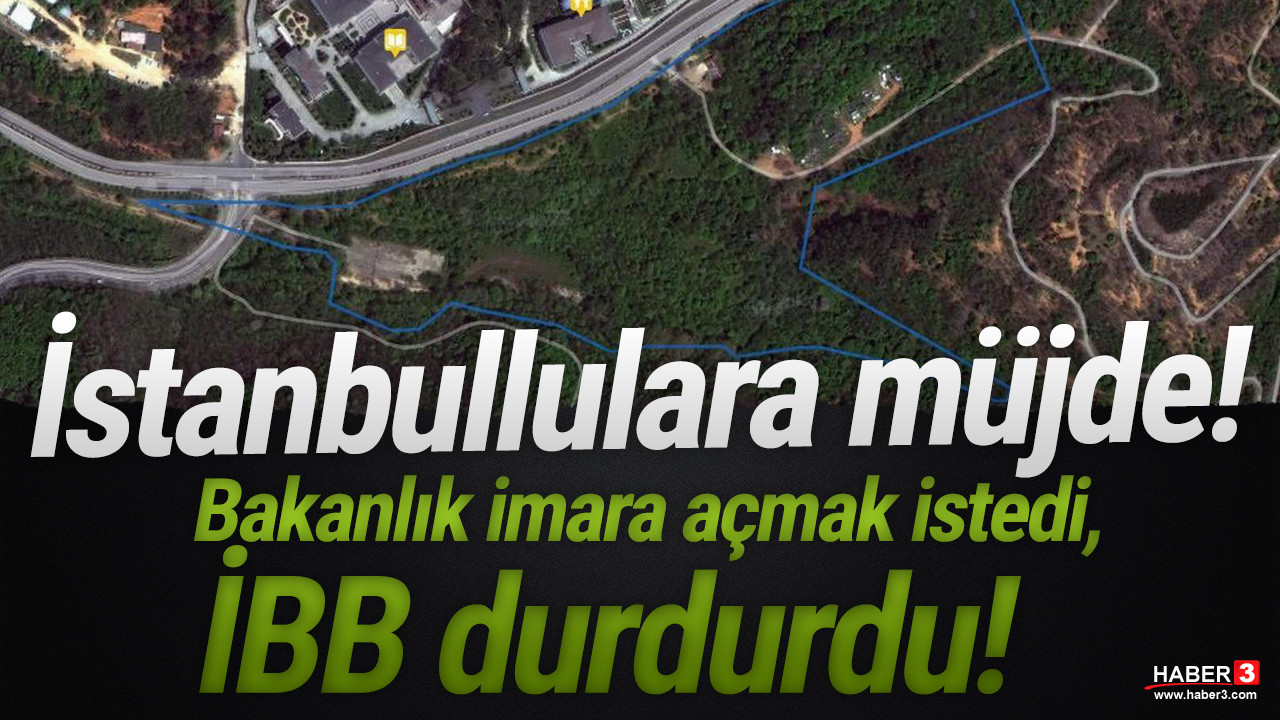 İBB, İstanbul'da doğal sit alan talanını durdurdu