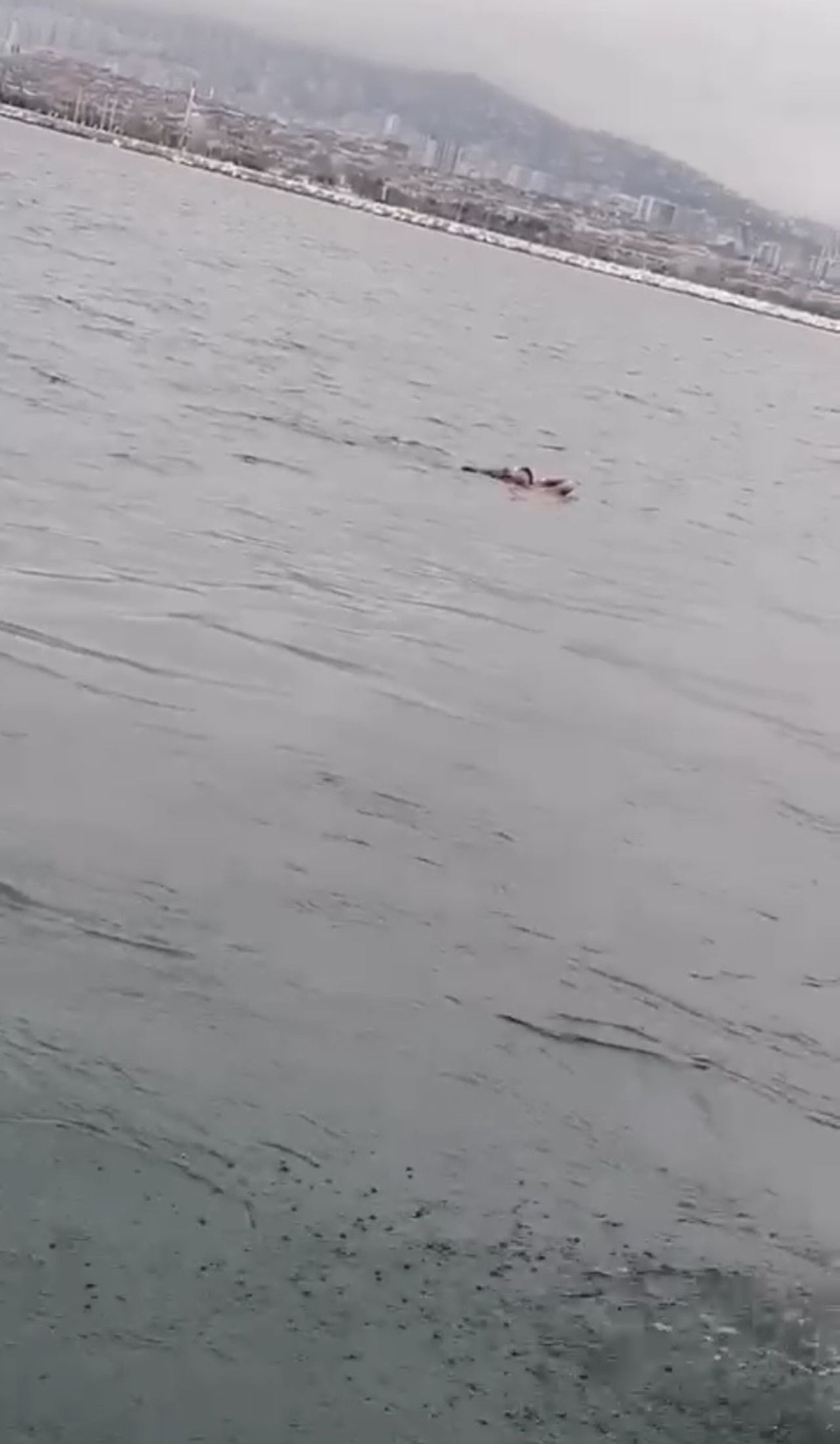 İstanbul Boğazı'nda dehşet! Vapurdan denize yolcu düştü - Resim: 4