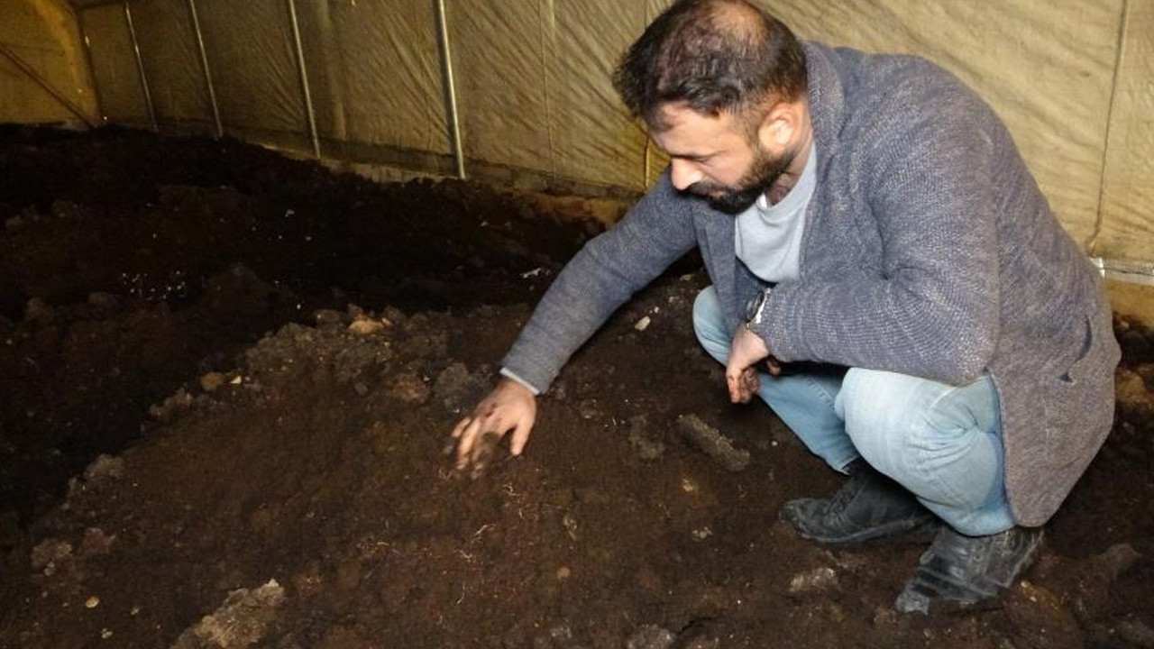 Solucan gübresi üreten girişimci siparişlere yetişemiyor