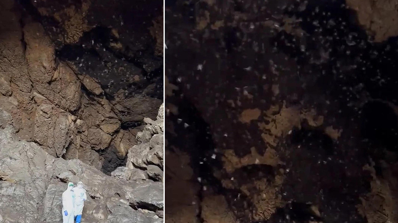 Dünya bu iddiayı konuşuyor: Covid-19'un kaynağı bu mağara