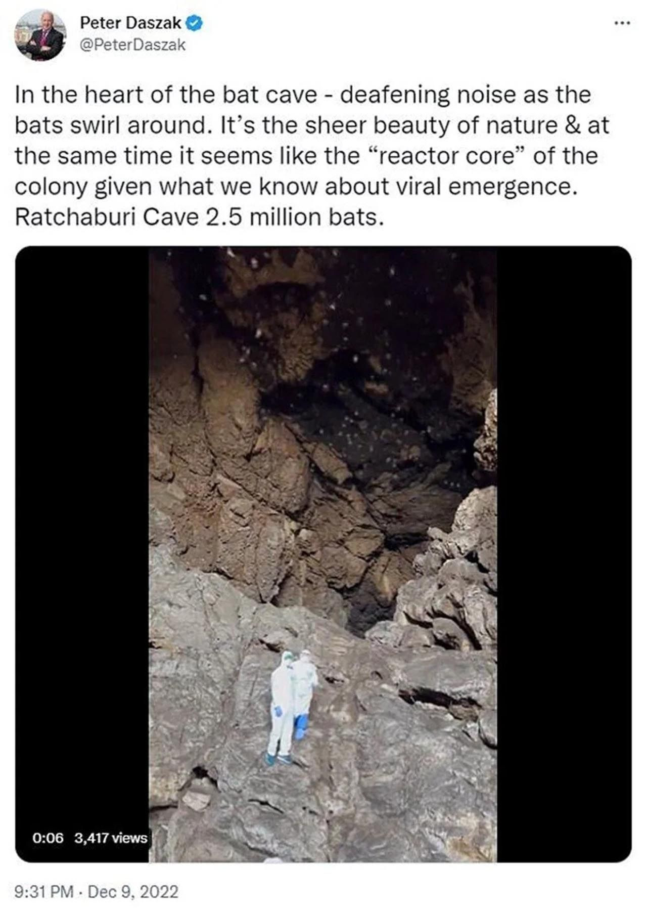 Dünya bu iddiayı konuşuyor: Covid-19'un kaynağı bu mağara - Resim: 5