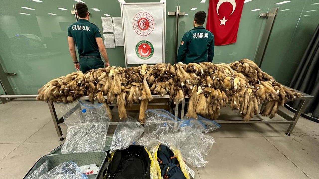 İstanbul Havalimanı'nda su samuru operasyonu